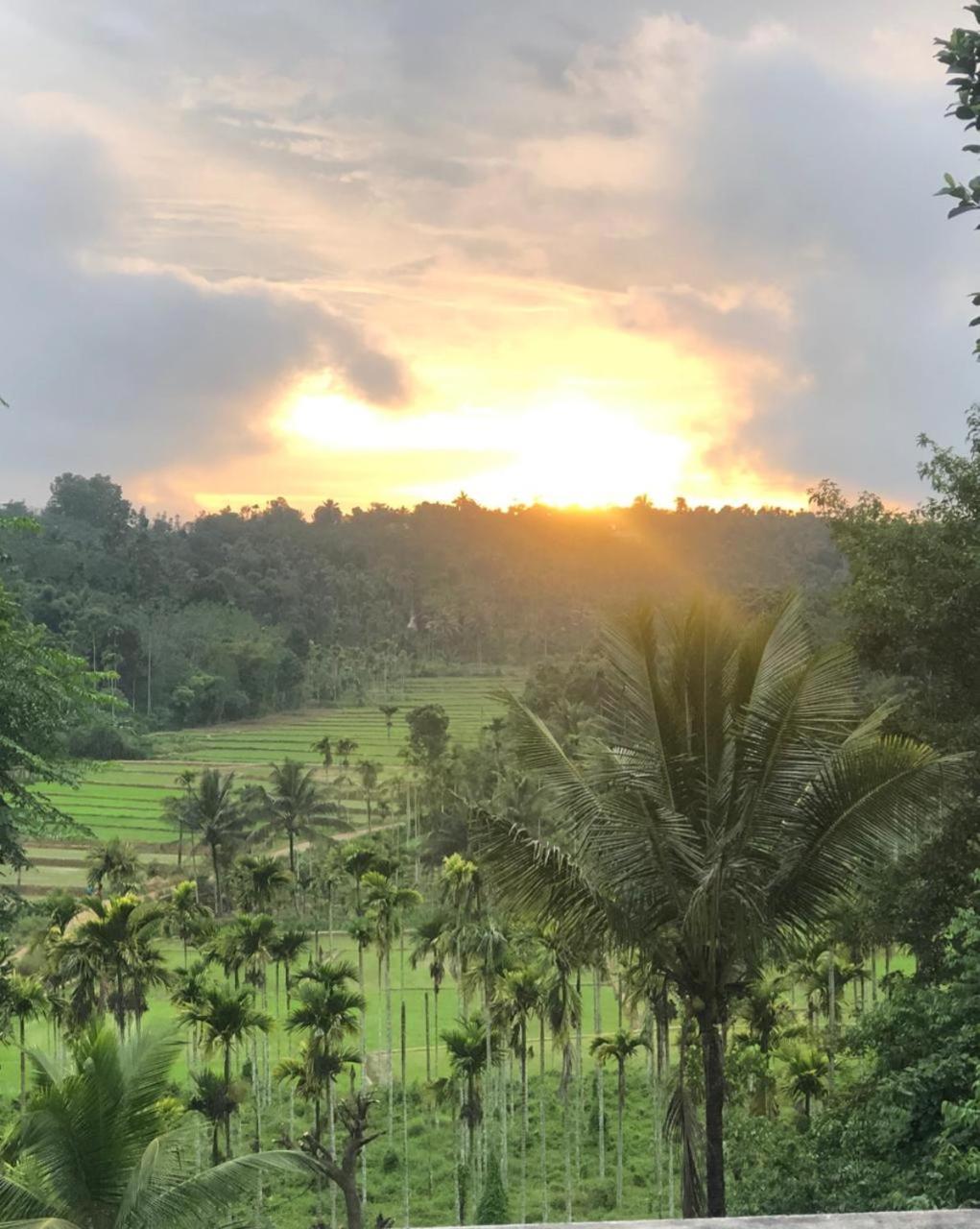 Angels Nest Home Stay 2 Acra Private Plantation Mountain Area Balconey Sunrice View Nearby Ngarhole Wild Life , Tholpetty Wild Life , Pakshipathalam Bird Santuary , Kuruva Island # Thirunelly & Thrissilery Temple Near By Secure Stay Wayanad Kerala Chegat Екстер'єр фото